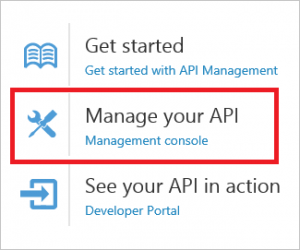 api-management-management-console